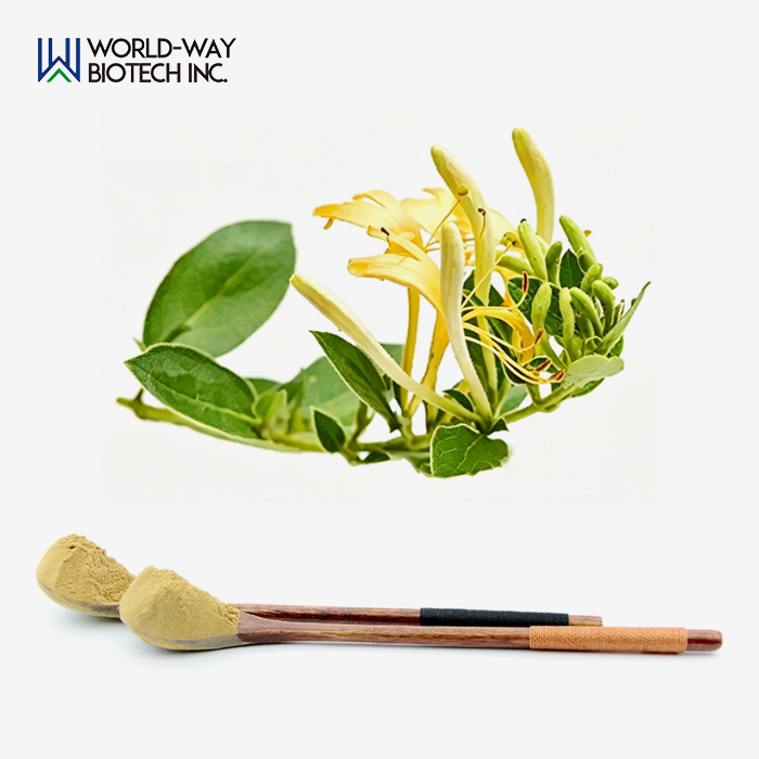 Honeysuckle Extract Powder Honeysuckle Extract Powder